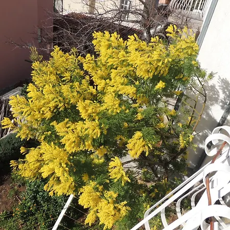Apartment Ordan